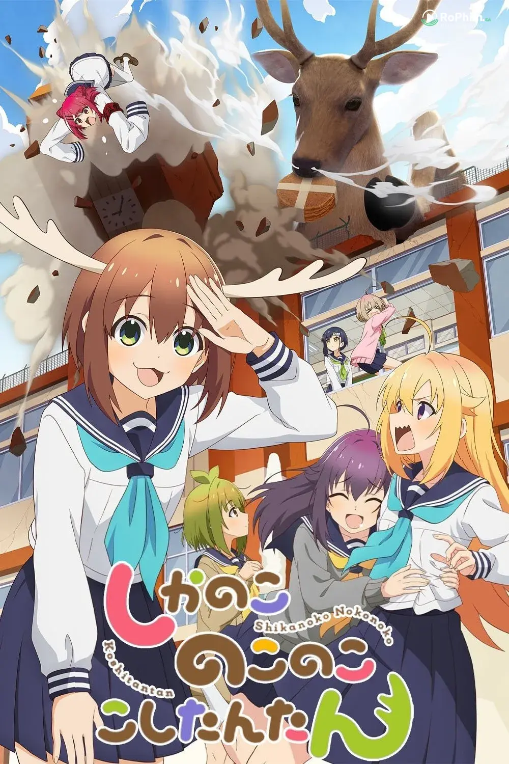 Bạn Nai Nokotan Của Tôi: Thoải Mái Trong Đêm