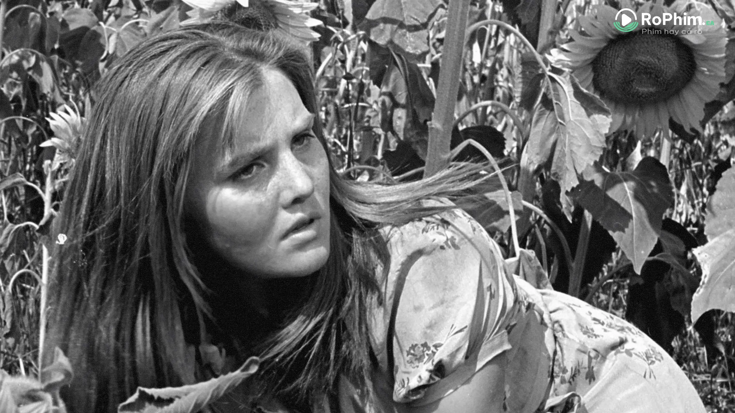 Chiến đấu và Thỏa mãn Tập Full