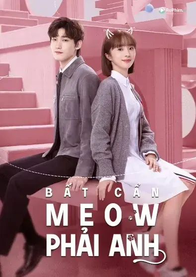 Bất Cẩn Meow Làm Anh Khó Chịu