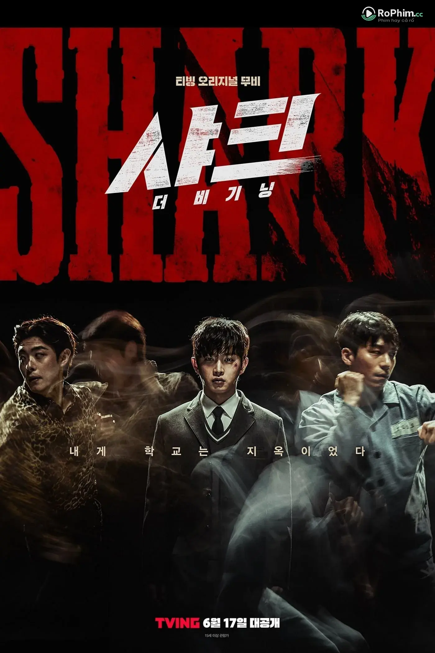 Cá Mập: Khởi Đầu Nóng Bỏng