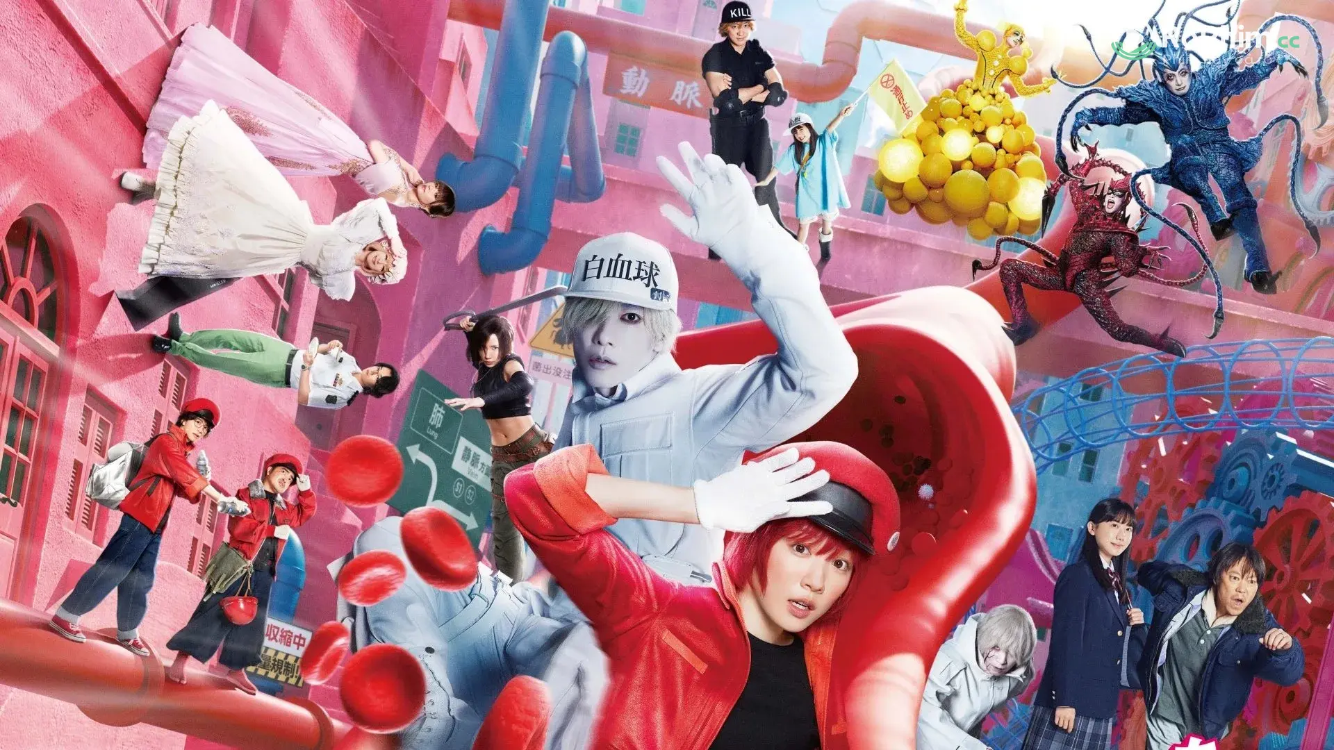 Khi Tế Bào Thỏa Mãn Tập Full